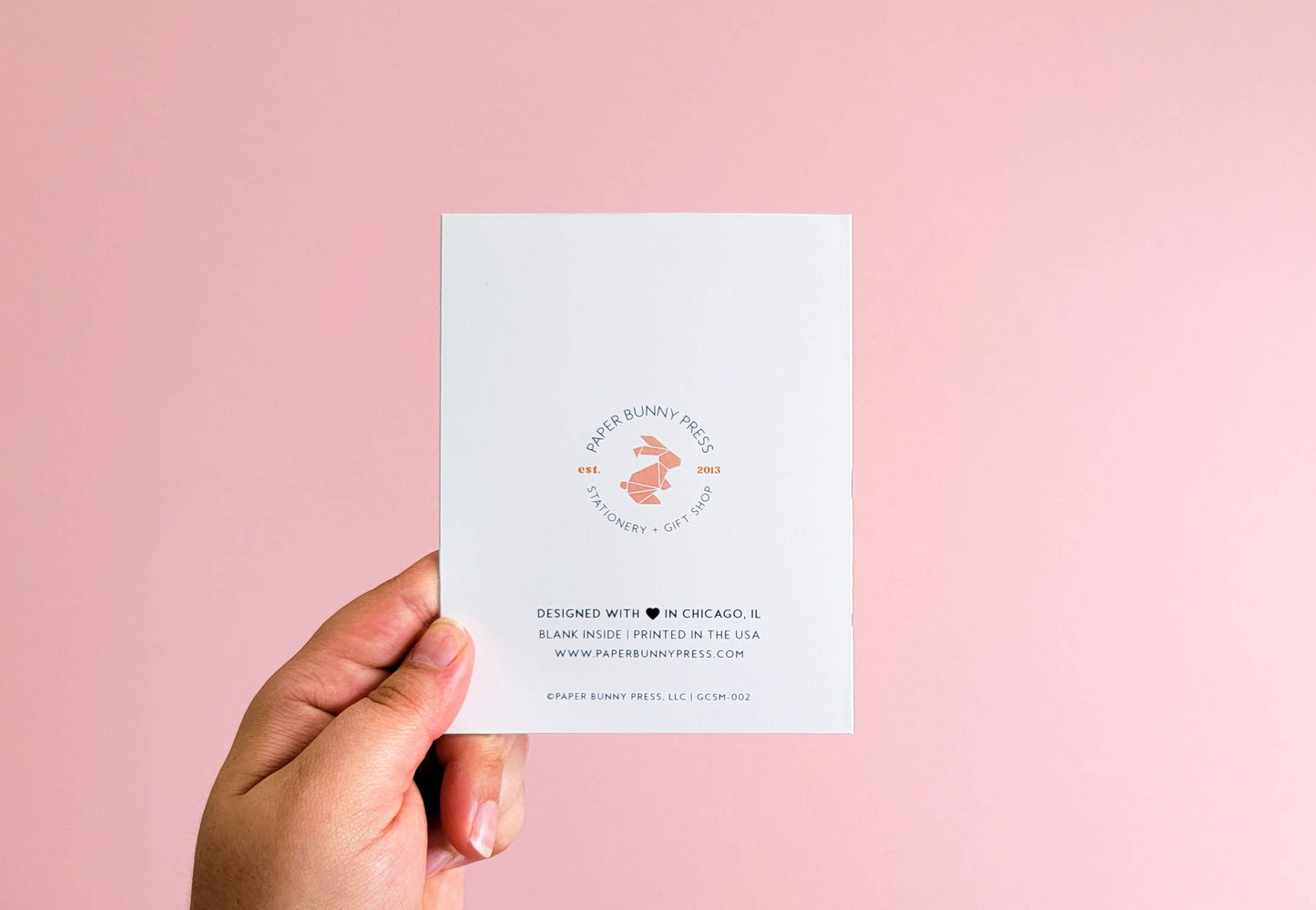 Hope your holiday doesn't suck - Funny Santa Christmas Card