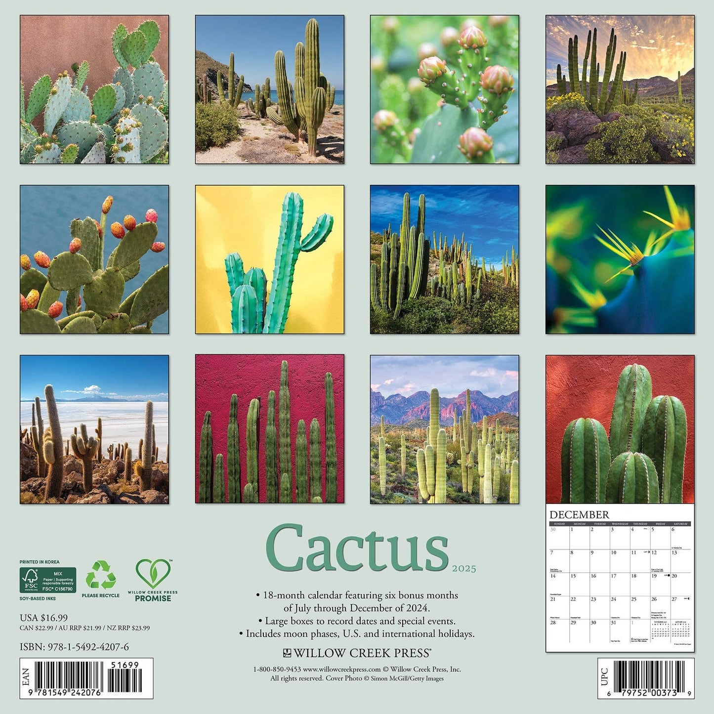 Cactus 2025 Wall Calendar
