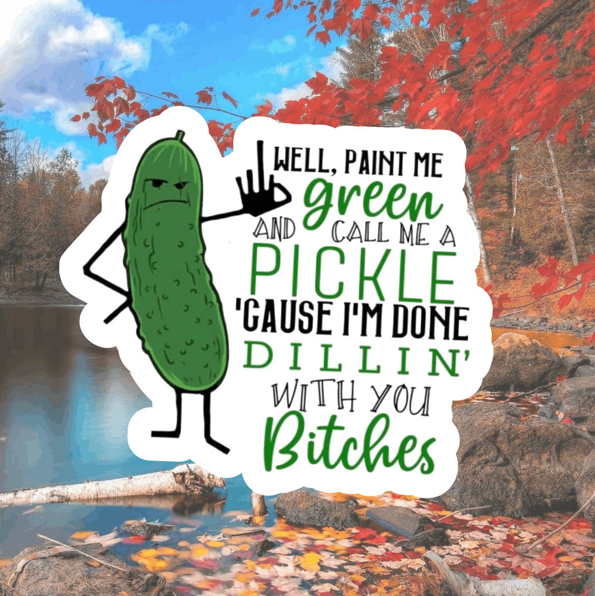 Funny, Adult Pickle, Waterproof Stickers, Hydroflask Sticker, Meme Sticker, Laptop Decal, Tumbler Stickers, Water Bottle Decal