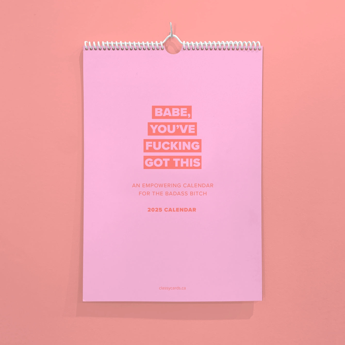 Babe You've Fucking Got This 2025 Calendar