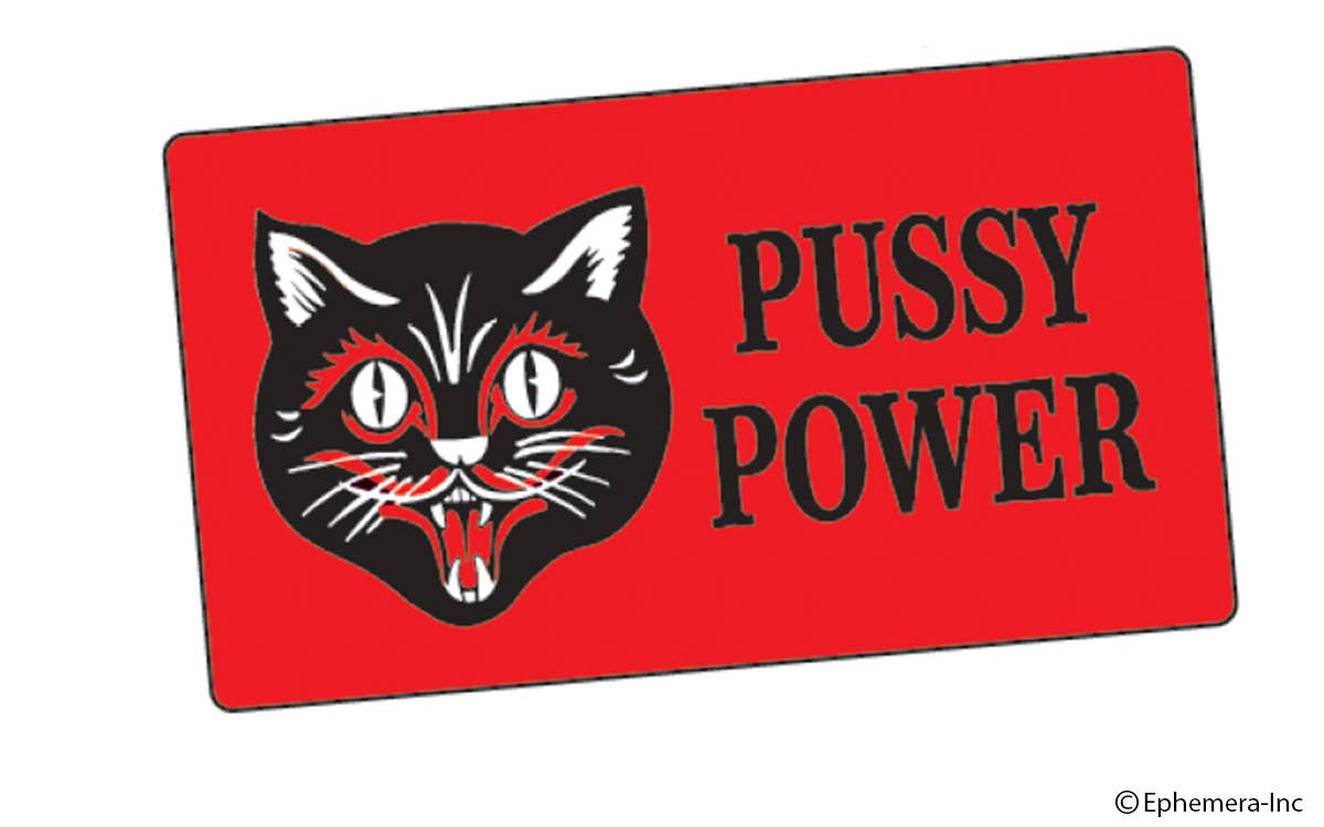 Sticker-Pussy Power