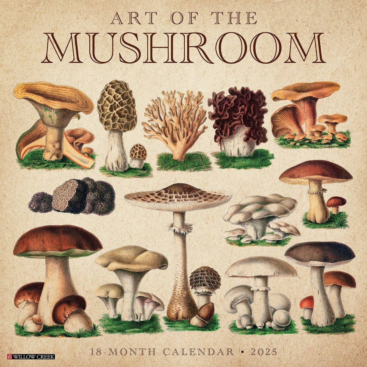 Art of the Mushroom 2025 Wall Calendar