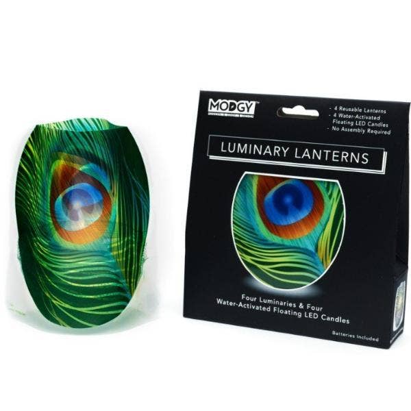 Luminary - Peacock Feather