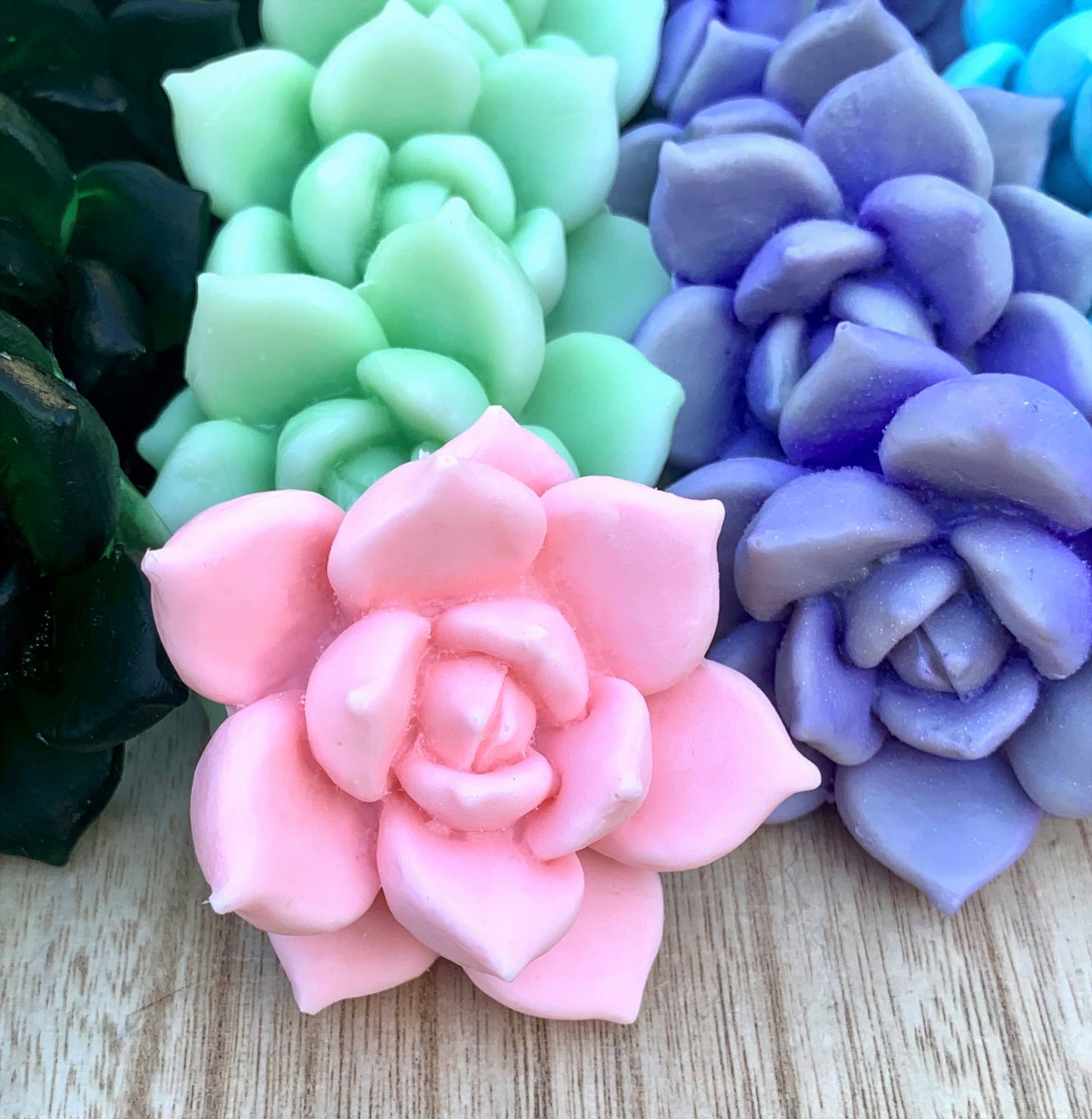 Purple Succulent Soap