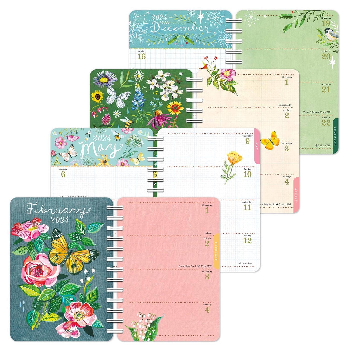 Katie Daisy 2024 Weekly Planner: Wild Beauty