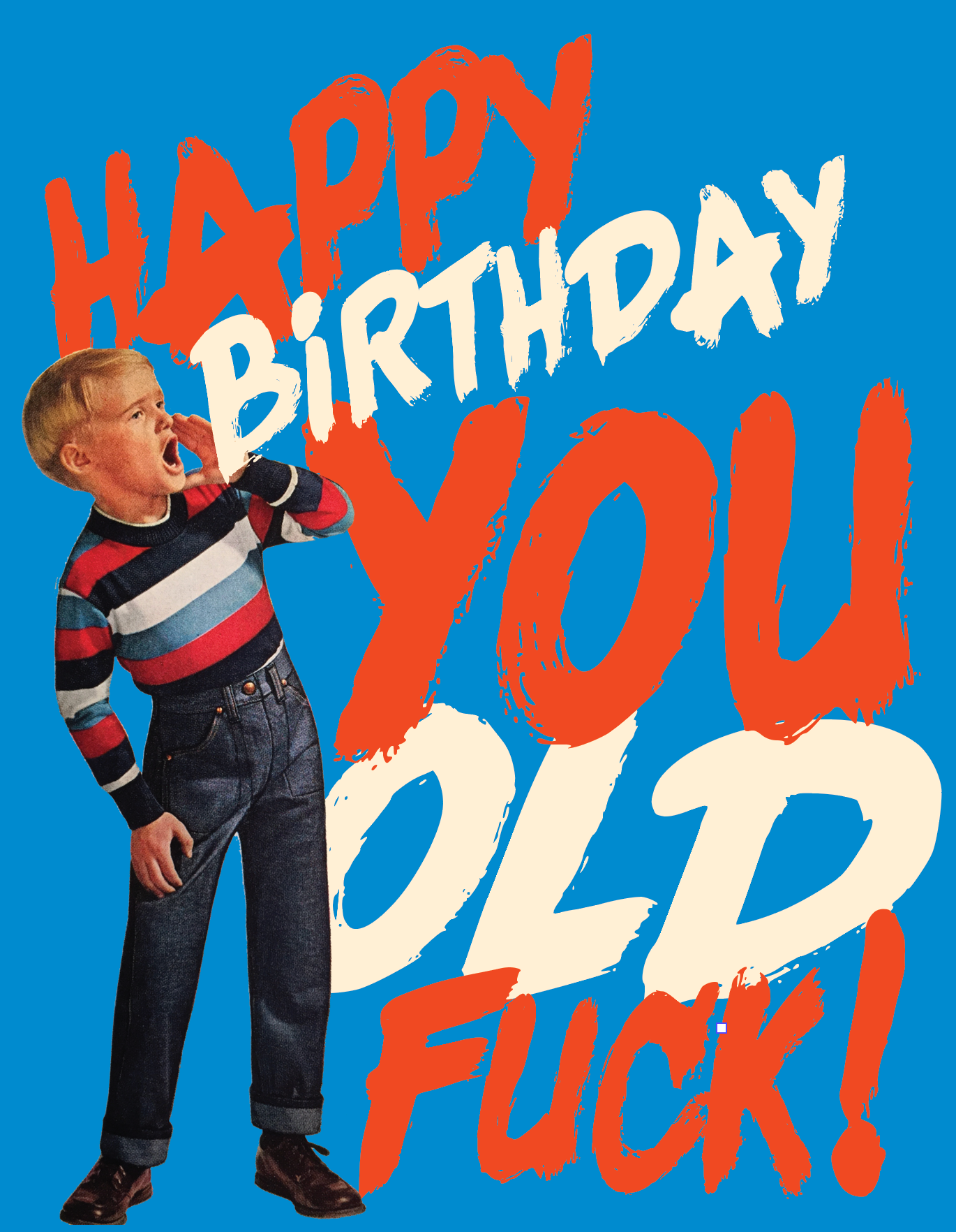 HAPPY BIRTHDAY YOU OLD FUCK! birthday card