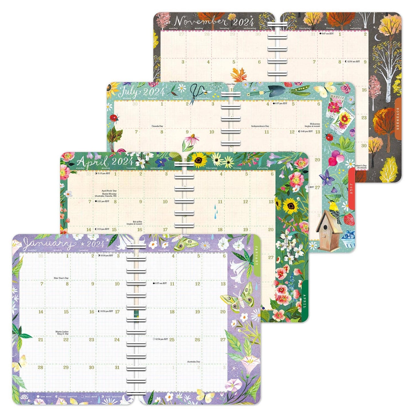 Katie Daisy 2024 Weekly Planner: Wild Beauty