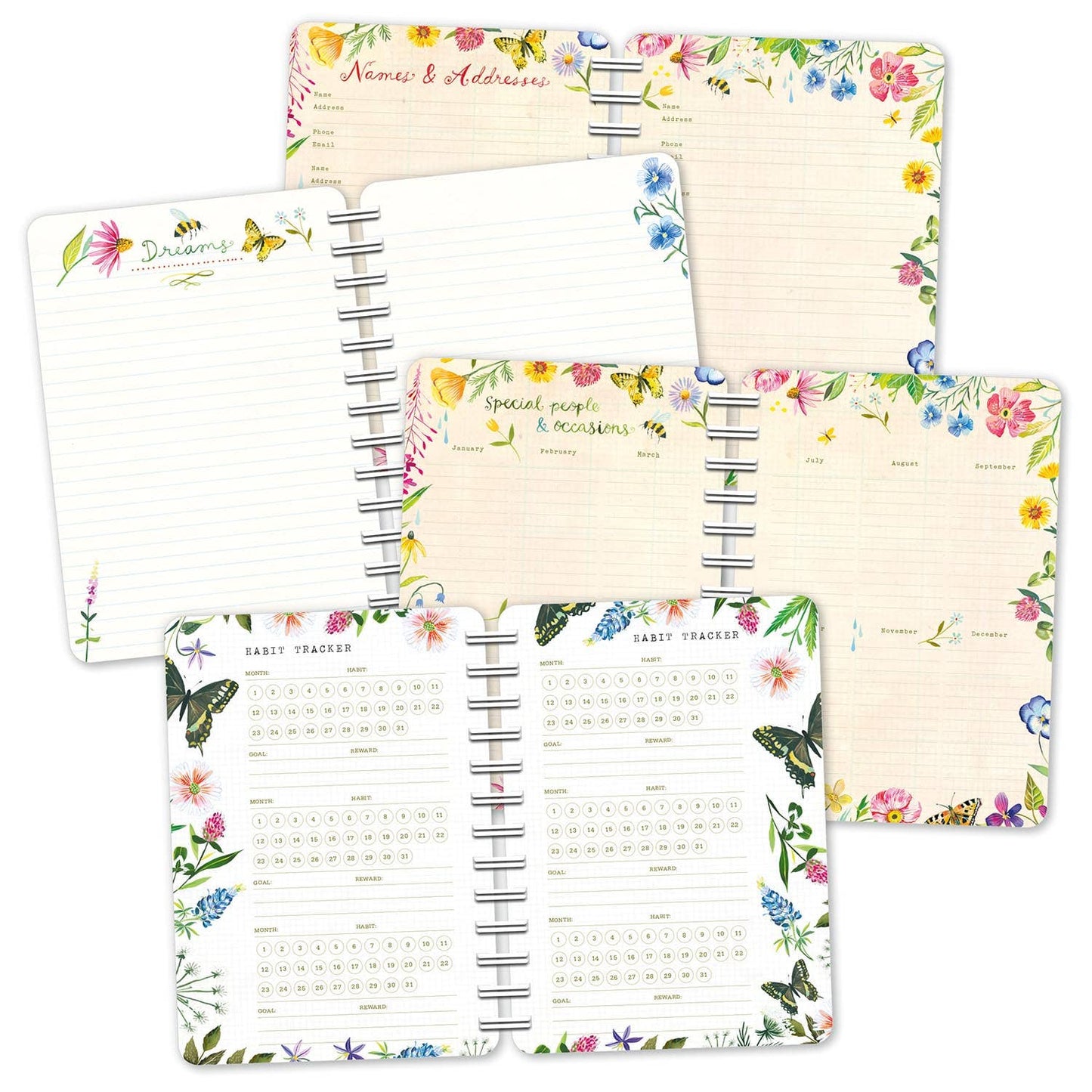 Katie Daisy 2024 Weekly Planner: Wild Beauty