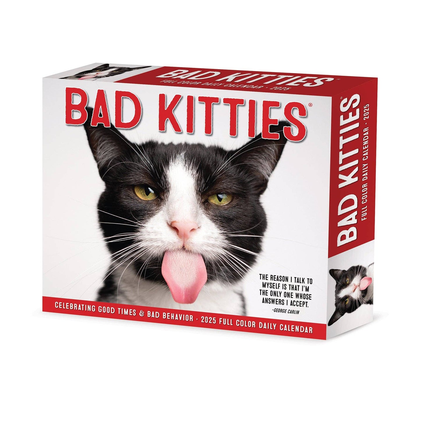 Bad Kitties 2025 Box Calendar Cards o' Glee