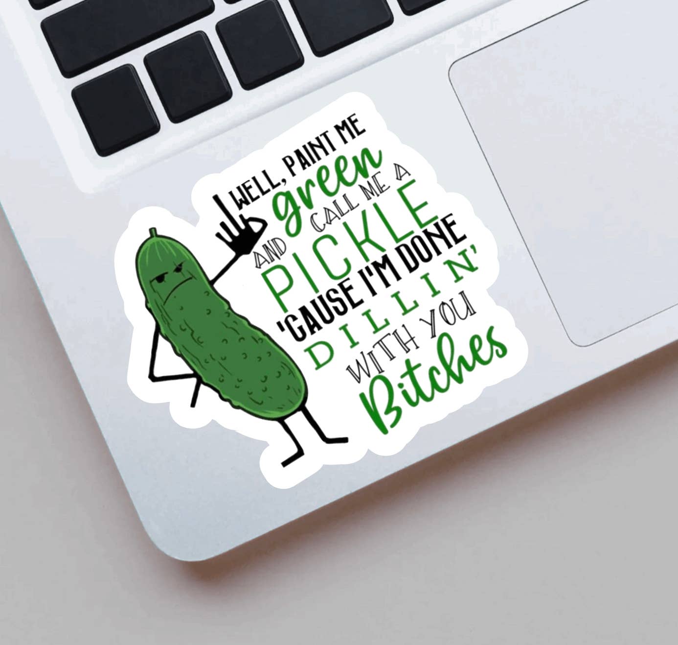 Funny, Adult Pickle, Waterproof Stickers, Hydroflask Sticker, Meme Sticker, Laptop Decal, Tumbler Stickers, Water Bottle Decal