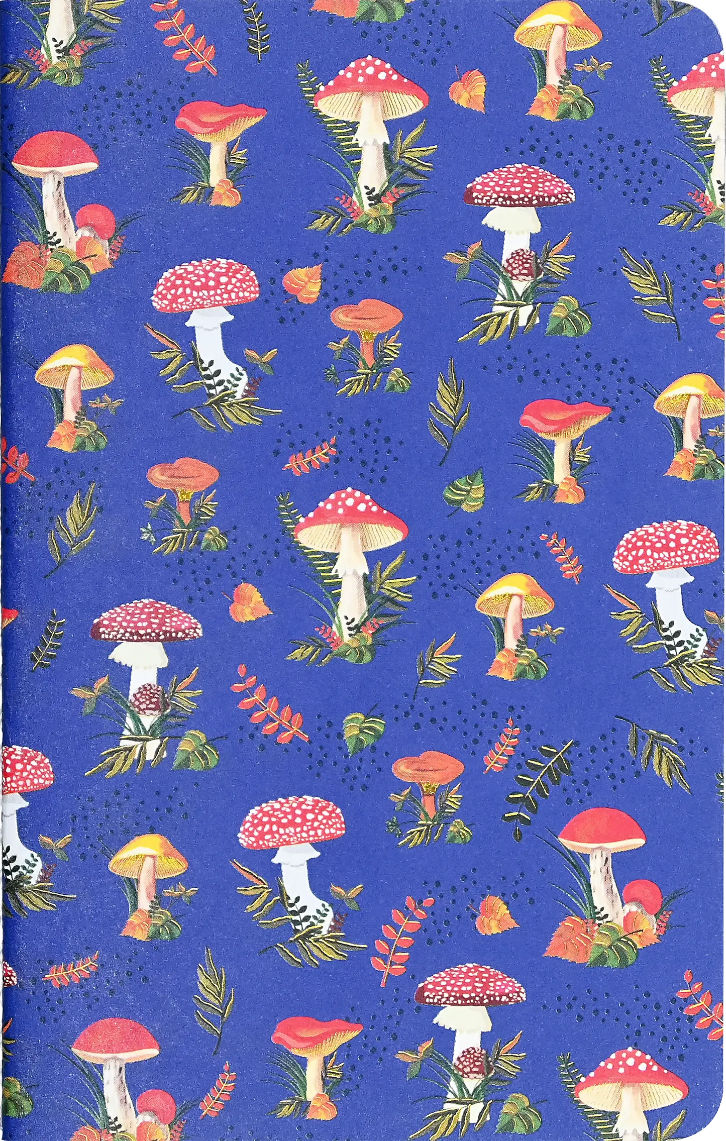 Jotter Mini Notebook Sets: Mushrooms