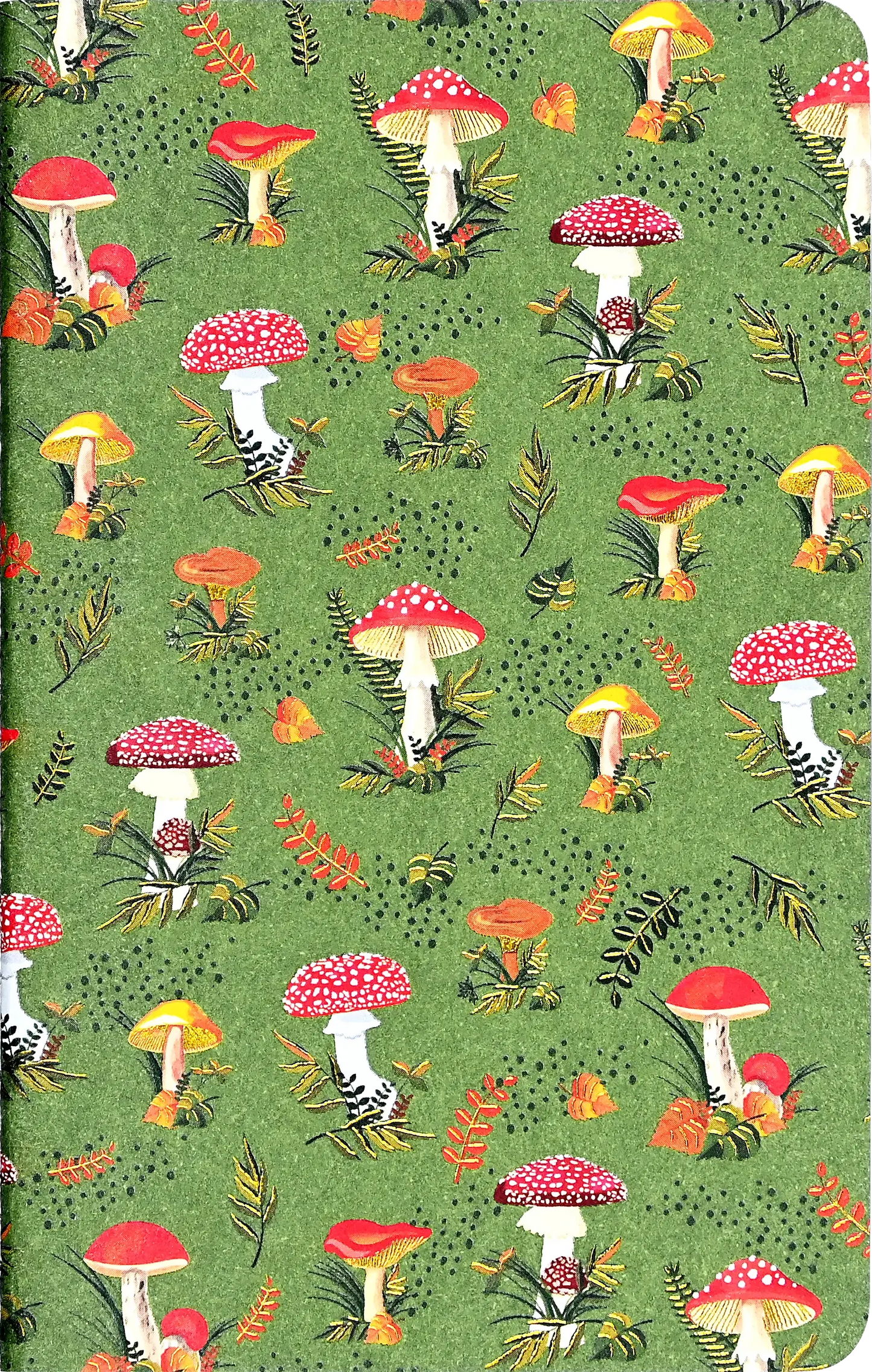 Jotter Mini Notebook Sets: Mushrooms