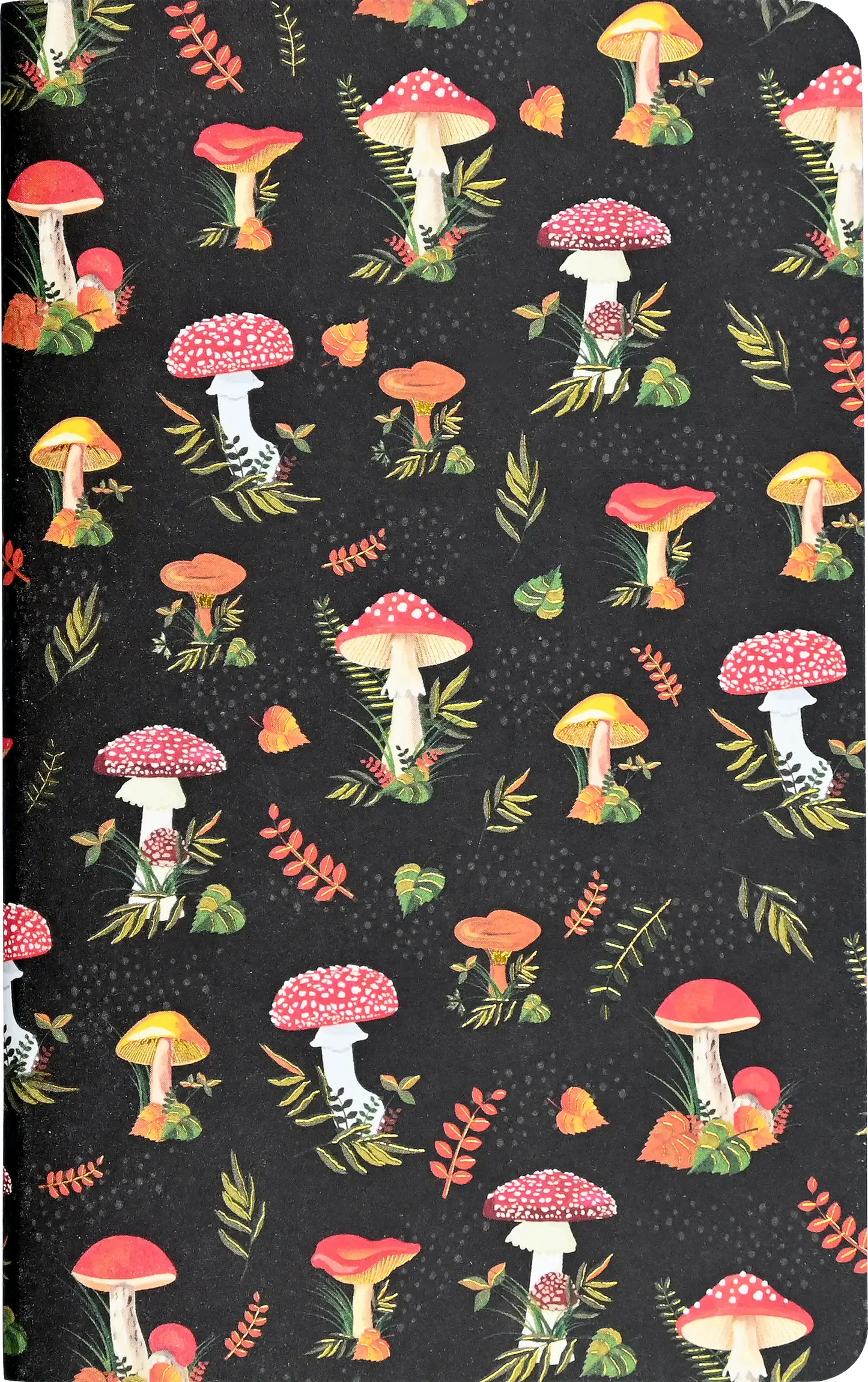 Jotter Mini Notebook Sets: Mushrooms