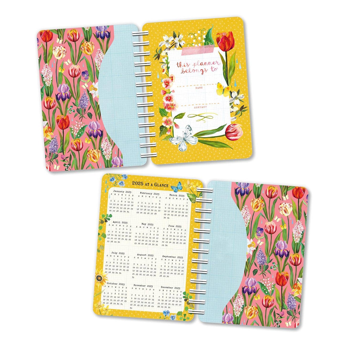 Katie Daisy 2024 Weekly Planner: Wild Beauty