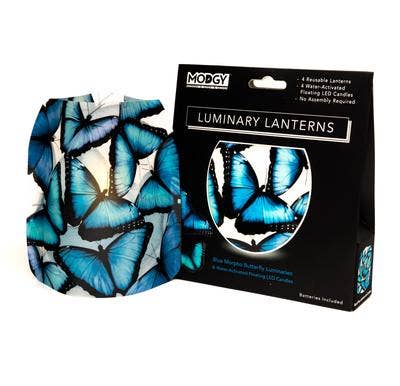 Luminary - Blue Morpho Butterfly