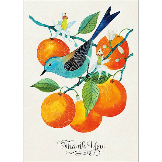 Oranges Thank You Cards (6 Pack)