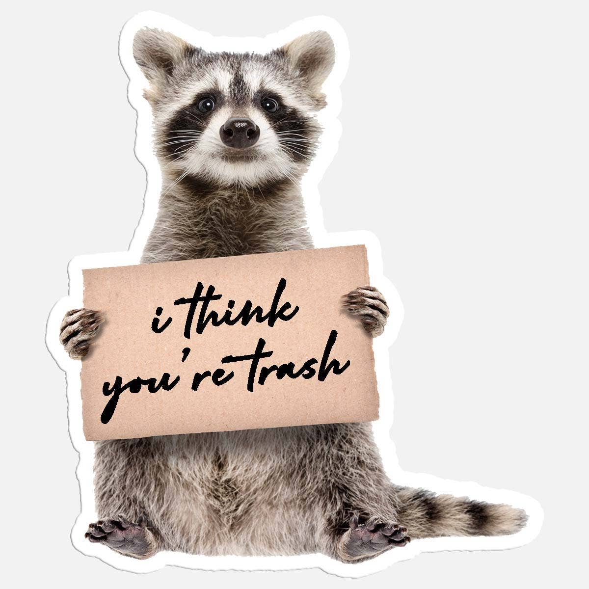 I Think You're Trash Raccoon Sticker