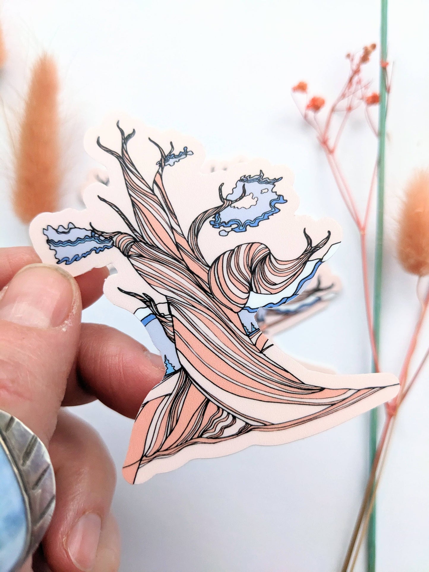 Bristlecone Pine Tree Sticker